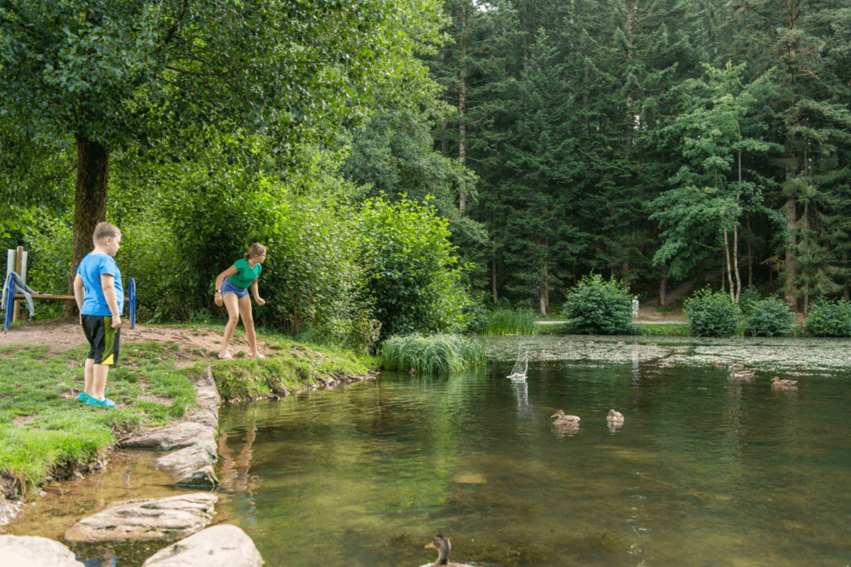 Wasserspielplatz im Zauberwald Loßburg direkt am See