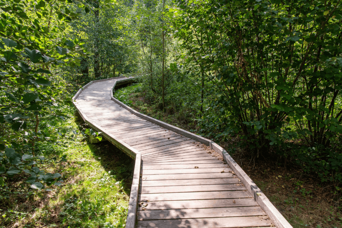 Hölzener Naturpfad durch den magischen Zauberwald