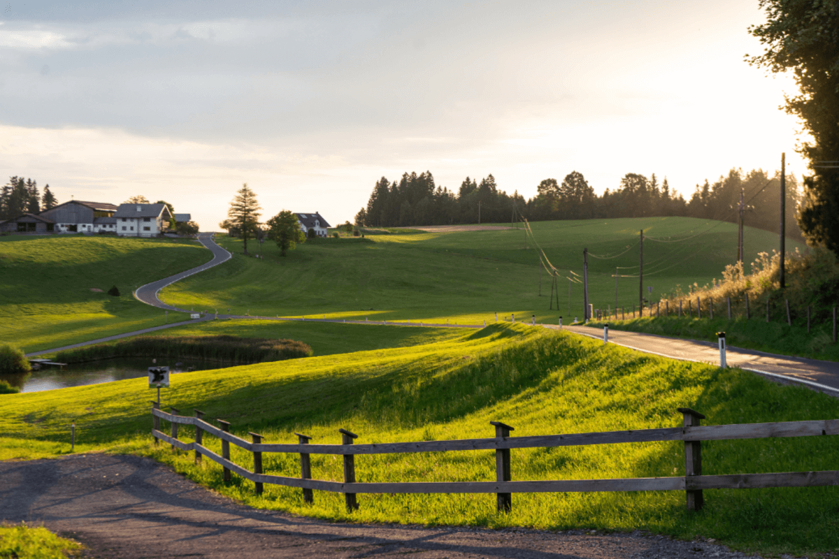 Saftig grüne hügelige Landschaft im Sonnenschein